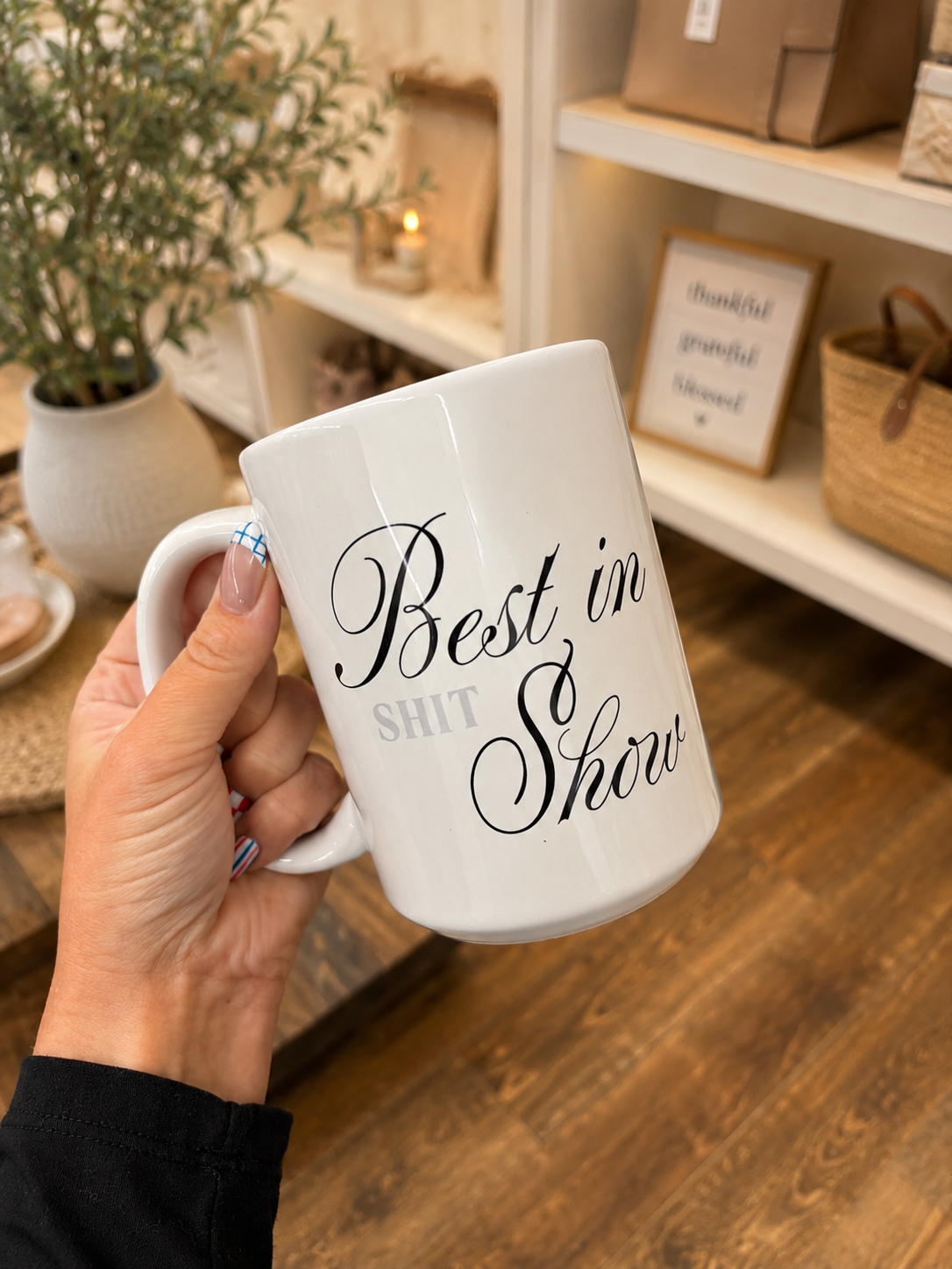 Best in (shit) Show Mug