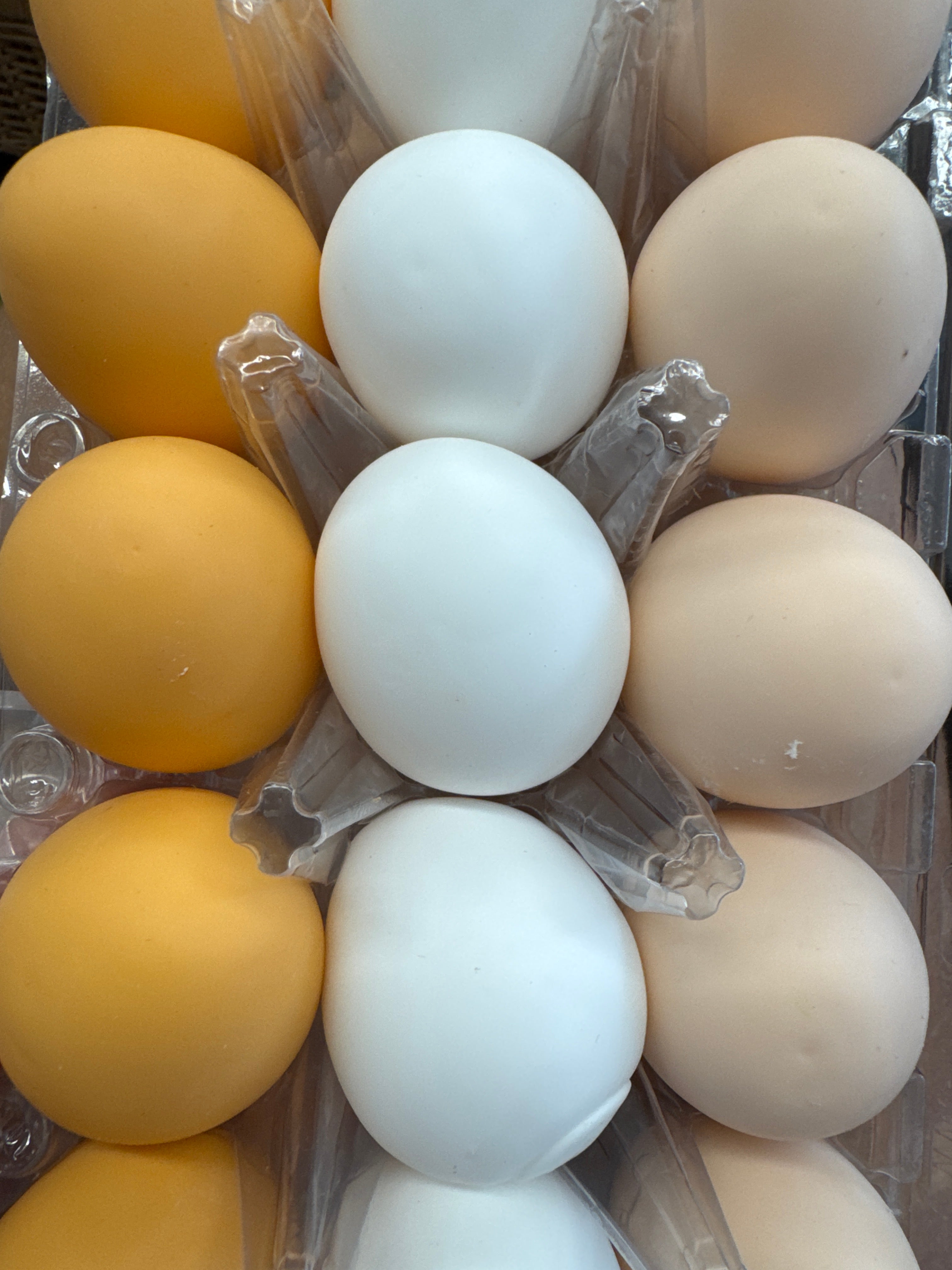 Egg Squish