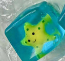 Glow Sea Life Cubes