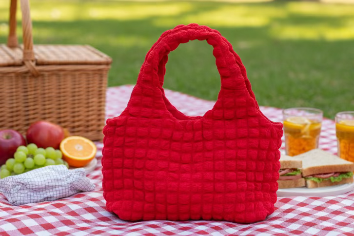 Anastelle Hobo Bag